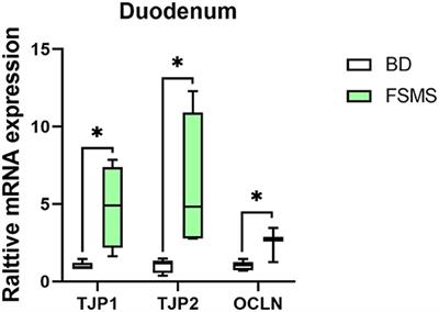 Microbiome Analysis Investigating the Impacts of Fermented Spent Mushroom Substrates on the Composition of Microbiota in Weaned Piglets Hindgut